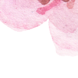 cherry 4
