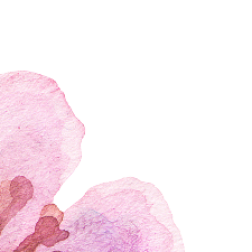 cherry 5 (1)
